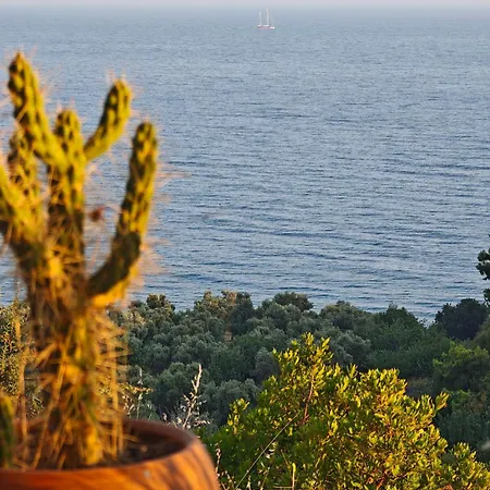 Pietra Mare Authentic Stone Sea Nature