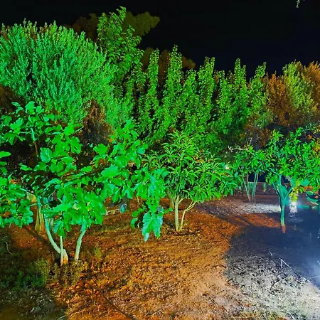 Pietra Mare Authentic Stone Sea Nature Villa *