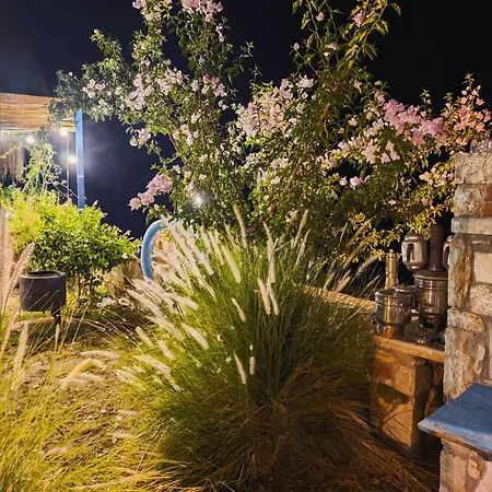 Pietra Mare Authentic Stone Sea Nature *